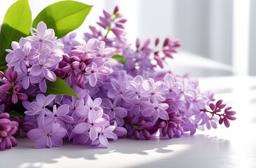 A branch of lilac lies on the table, beautiful sun rays in the background. Beautiful purple flowers