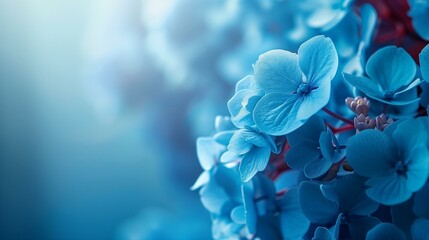 Blue, tranquil morning in garden, floral delicate feminine soft light