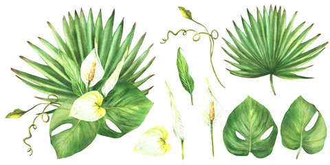 Tropical bouquet set, anthurium flowers, palm leaf, calathea, creeper, home plant leaves. Exotic bud jungle greenery floral clipart Watercolor hand drawn illustration. Isolated white background. 