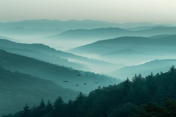 The birds are scattered throughout the scene, with some flying higher in the sky