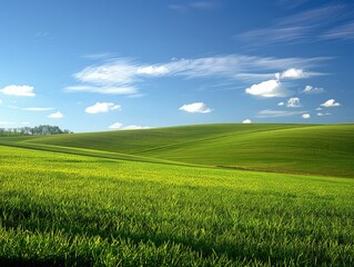 Obraz premium A large, open field with a blue sky and clouds
