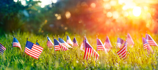 American Flags In Grass At Sunset With Defocused Abstract Background - Memorial Day