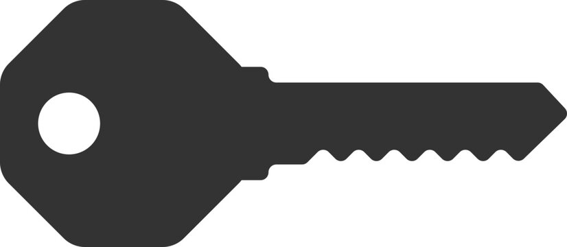 Key silhouette of security symbol. Vector lock safe icon