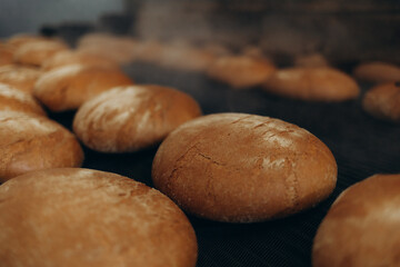 white round pastry dough arranged in a row in a stainless steel tray Putting into a large baking oven, the baking concept