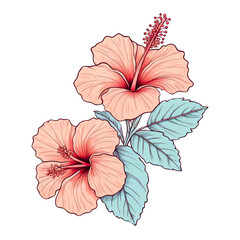 Hibiscus flowers bouquet cute kawaii style illustration, floral botanical clipart, isolated clipart