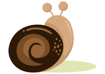 Cute brown snail isolated on white