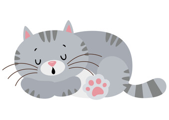 Cute funny cat sleeping isolated