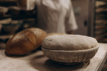 Freshly Baked Bread rolls
