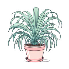 Obraz premium Potted ponytail palm plant cute kawaii style illustration clipart, indoor garden nature 
