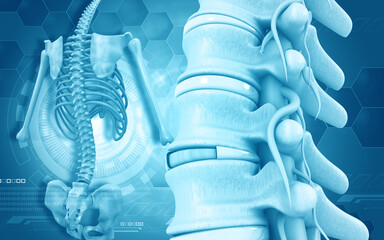 Human spine anatomy on scientific background. 3d illustration..