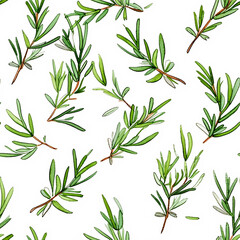 Obraz premium Rosemary seamless watercolor pattern illustration on the white background green spice 