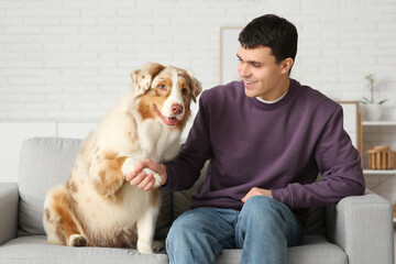 Young man holding Australian Shepherd dog's paw on sofa at home