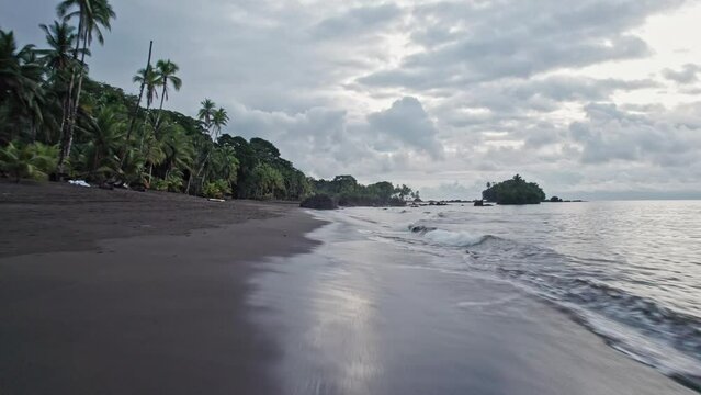 An idyllic beach with black sand and palm trees