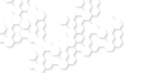 Background with hexagons . Abstract background with lines . white texture background . white and hexagon abstract background. white paper texture and futuristic business .