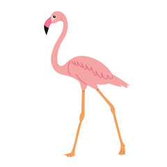Fototapeta premium flamingo in flat style on white background vector