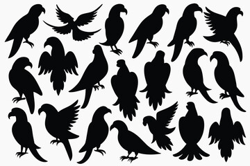 Naklejka premium Set of hand drawn parrots black Silhouette Design with white Background and Vector Illustration