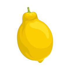 Illustration of lemon