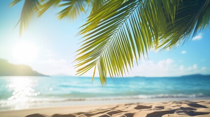 Obraz premium beautiful summer background with palm leaves and a sandy beach