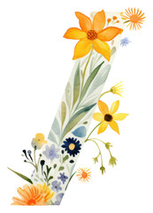 Obraz premium PNG Asteraceae graphics pattern blossom.
