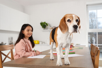 Cute Beagle dog with little girl drawing on table in kitchen, closeup