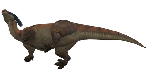 Parasaurolophus on a Transparent Background