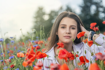 Long haired  brunette young woman is posing in a cereal field with red poppies and blue cornflowers. Horizontally. 