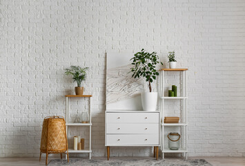 Interior of white room with houseplant, chest of drawers and shelving units
