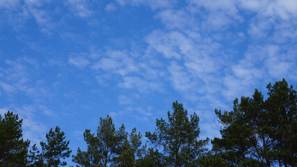 Obraz premium sky with clouds