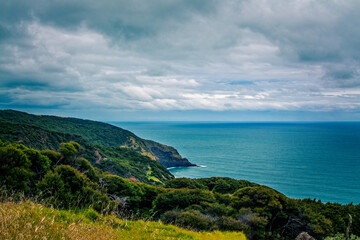 Panoramic view over high coast of Tasman Sea on an overcast summer day. High vantage point. Raglan,...