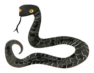 Fototapeta premium PNG black mamba snake digital art, transparent background