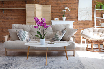 Interior of living room with sofa, armchair and orchid flower on table