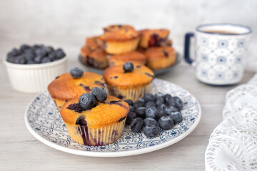 Blueberry muffins baked with fresh blueberries on a white  white background, close-up.  