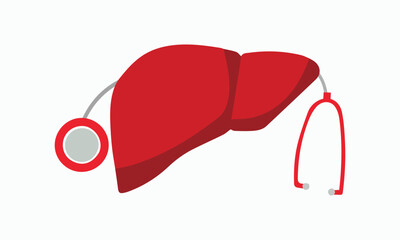 Stethoscope with liver. Vector illustration.