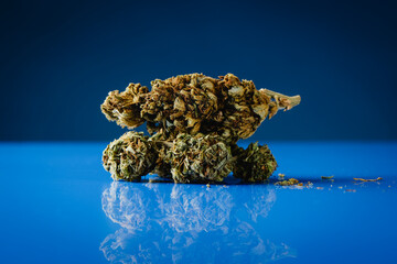 a pair of cannabis buds on a blue surface