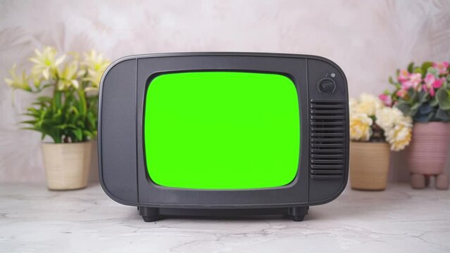 Old TV with grill front speakers and a noisy screen, placed beside indoor plants in a serene setting.