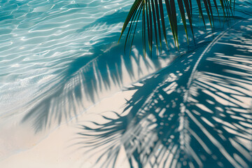 Obraz premium Karibisches Paradies: Palmblätter am weißen Sandstrand mit kristallklarem Wasser