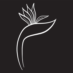 illustration of a flower