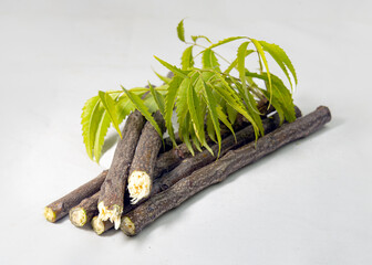 Neem Sticks with neem leaves on studio table. Neem Datun is traditional tooth chew sticks, for healthy teeth and germ free fresh mouth.