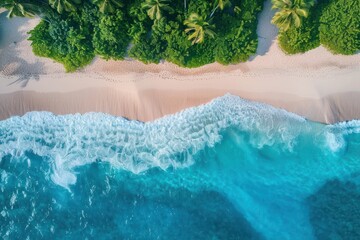 Aerial view of sandy tropical beach in summer.