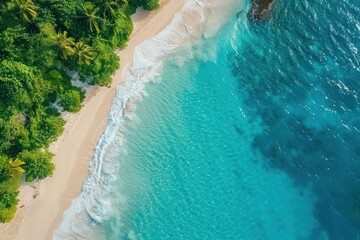 Aerial view of sandy tropical beach in summer.