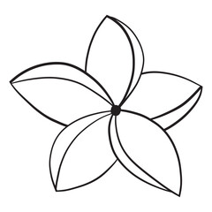 illustration of a flower