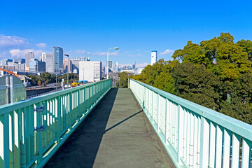 Fototapeta premium 歩道橋と遠くのビル群