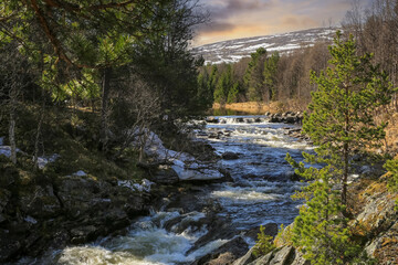 Spring flood at the river Inna, Norway