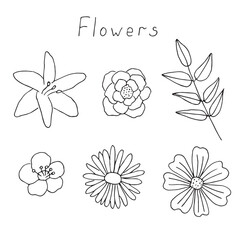 Flowers set vector illustration, hand-drawn doodles