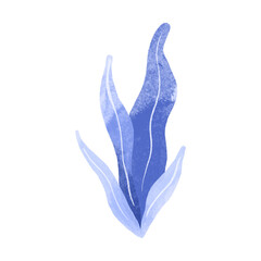 Obraz premium Hand drawn algae elements. Isolated illustration with seaweed. Childish watercolor illustration