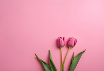 Fototapeta premium AI generated illustration of pink tulip flowers on a pink background