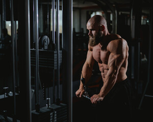 Bald Caucasian Bodybuilder doing heavy triceps exercises with cable. 
