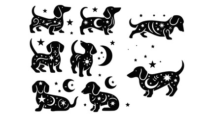 Dachshund Vector Illustration Set
