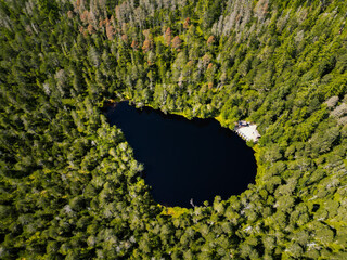 Aerial drone view of Velke mechove jezirko, local moss lake with green trees in Rejviz, Czech...