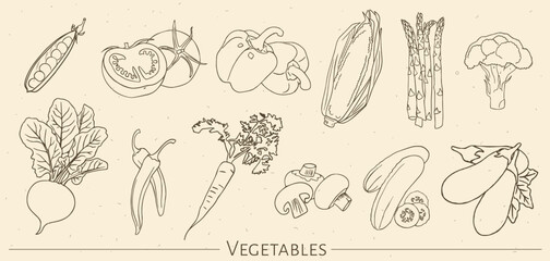 Set of hand drawn vegetables. Contour transparent elements on the background with the effect of paper. Vector graphics